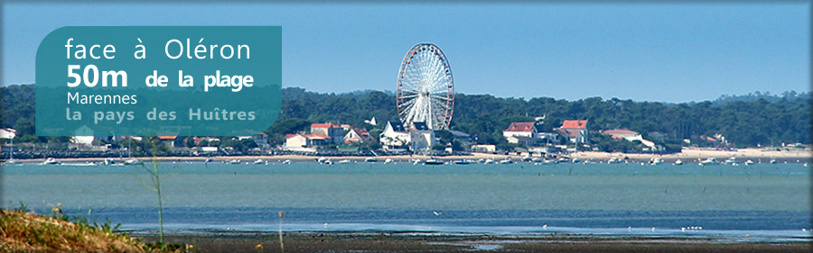 domaine residentiel a 50m de la plage face ile oleron terrains viabilises Marennes Charente Maritime